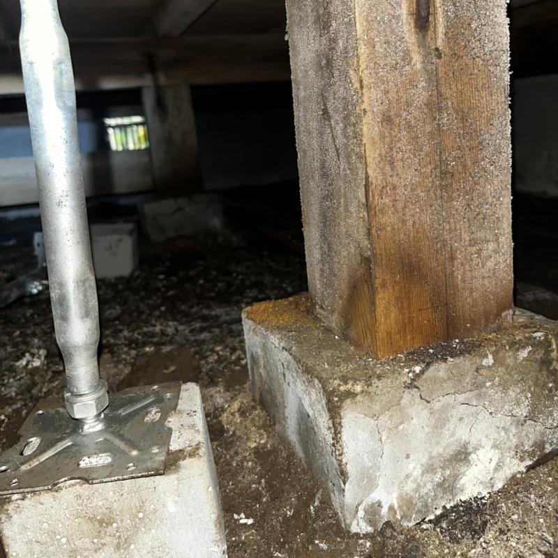 築年数40年のシロアリ予防の施工事例（埼玉県蓮田市桜台）
