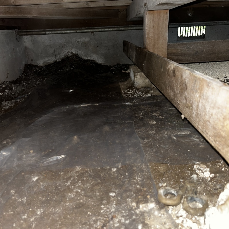床下の土壌に防蟻剤を散布した様子