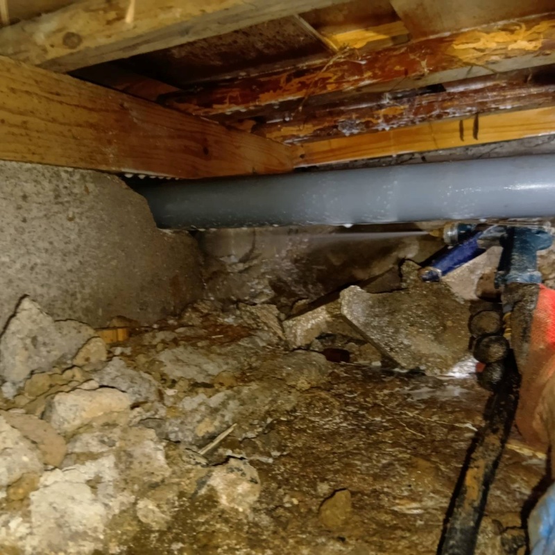 築年数62年のシロアリ予防の施工事例（長崎県長崎市音無町）