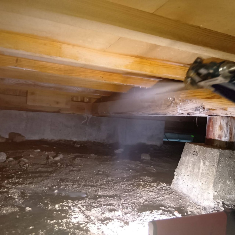 床下の木材に防蟻剤を散布する様子