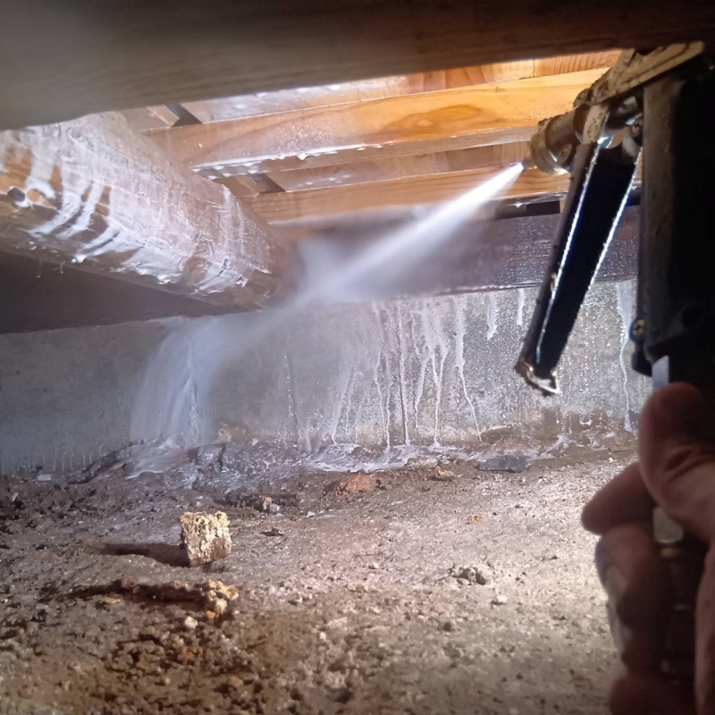 床下の基礎部分に防蟻剤を散布する様子