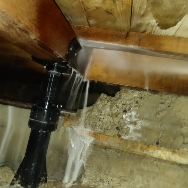 床下の木材に防蟻剤を散布した様子