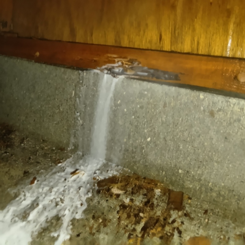 基礎まわりに防蟻剤を散布した様子