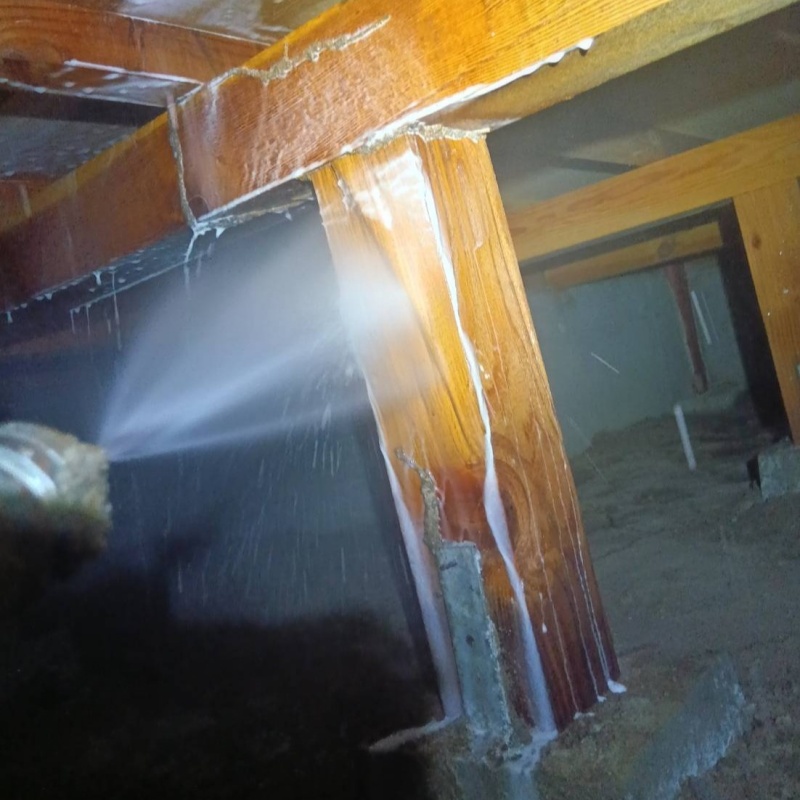 床下の木材にシロアリ駆除剤を散布する様子