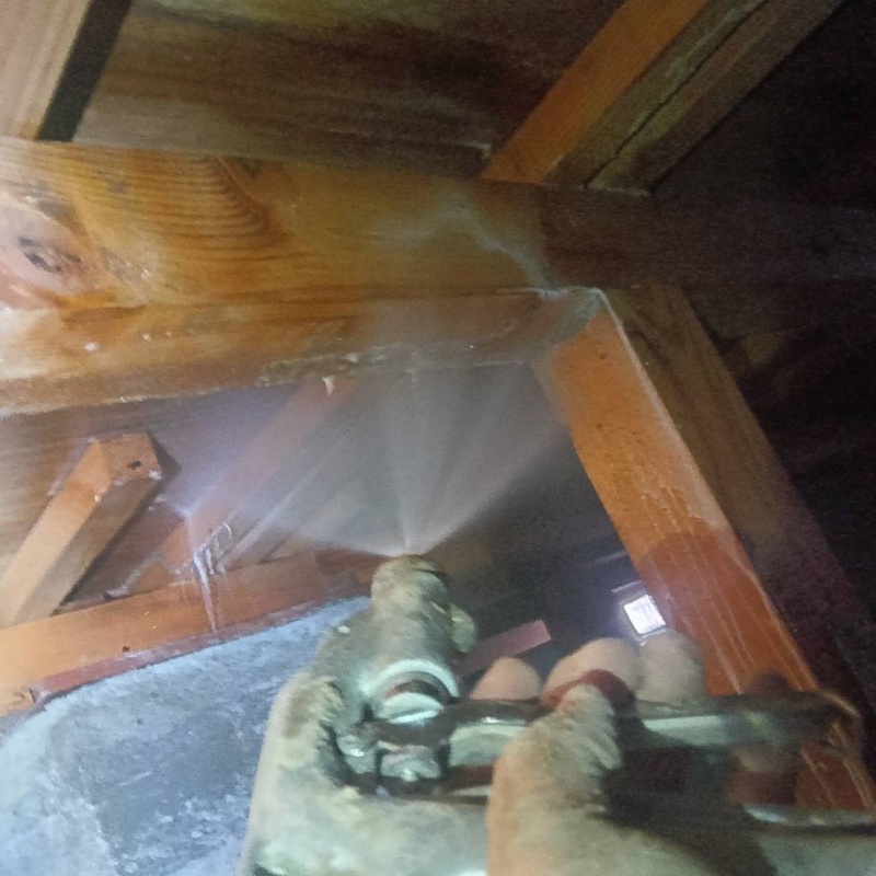 床下の木材にシロアリ駆除剤を注入する様子