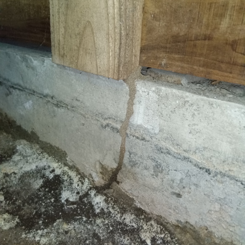 築年数40年のシロアリ駆除の施工事例（宮城県名取市）