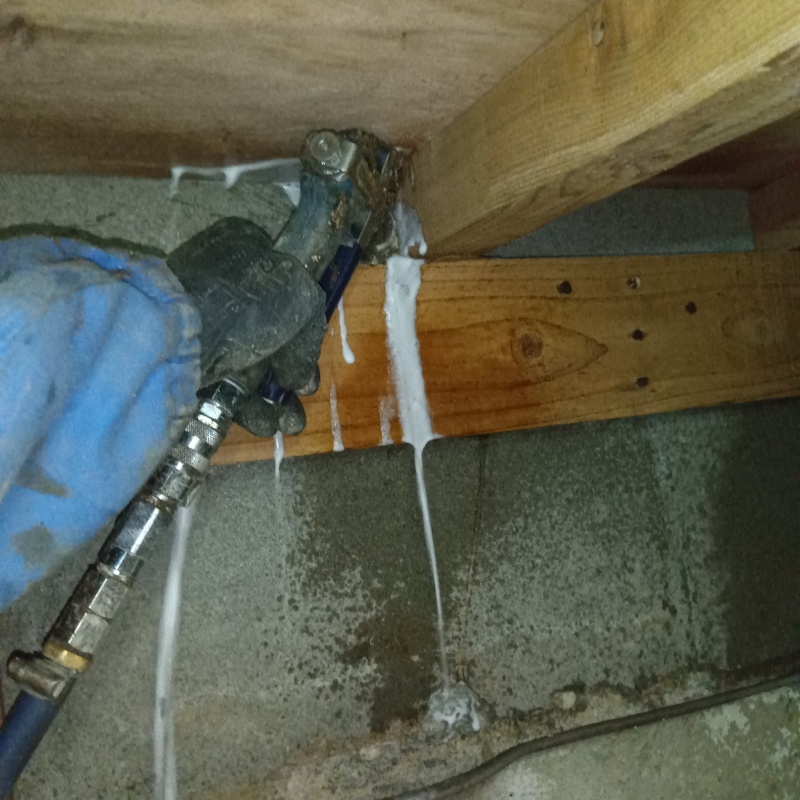 床下の木材にシロアリ駆除剤を散布する様子