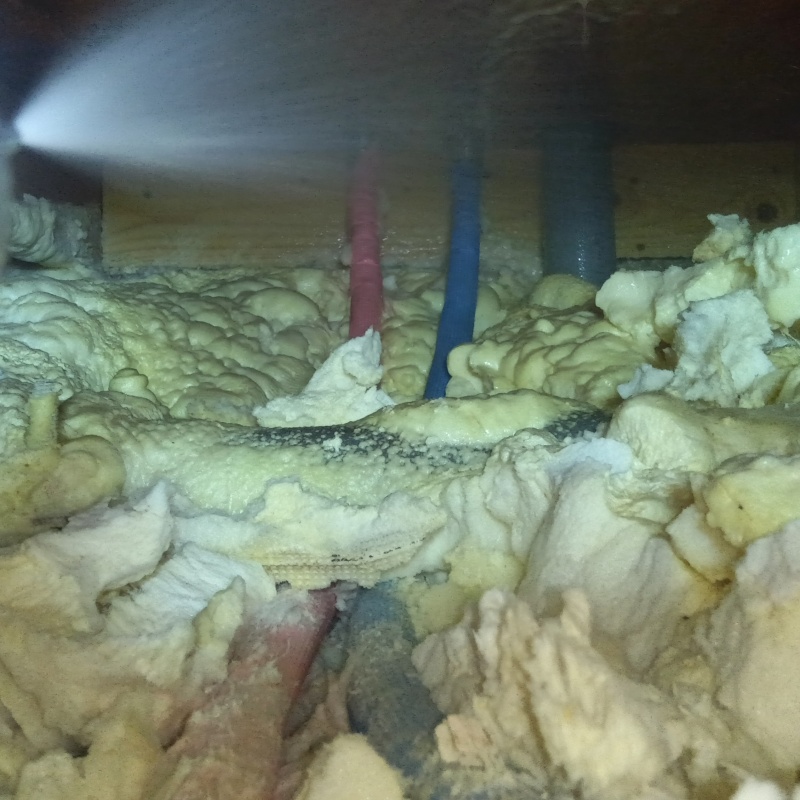 床下の基礎部分に防蟻剤を散布する様子