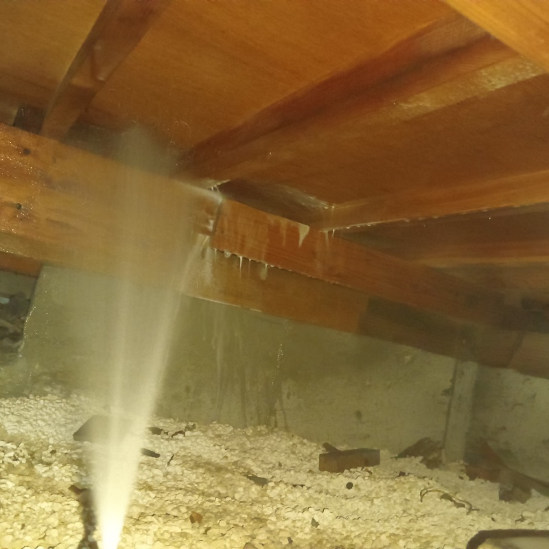 床下の木材に防蟻剤を散布する様子