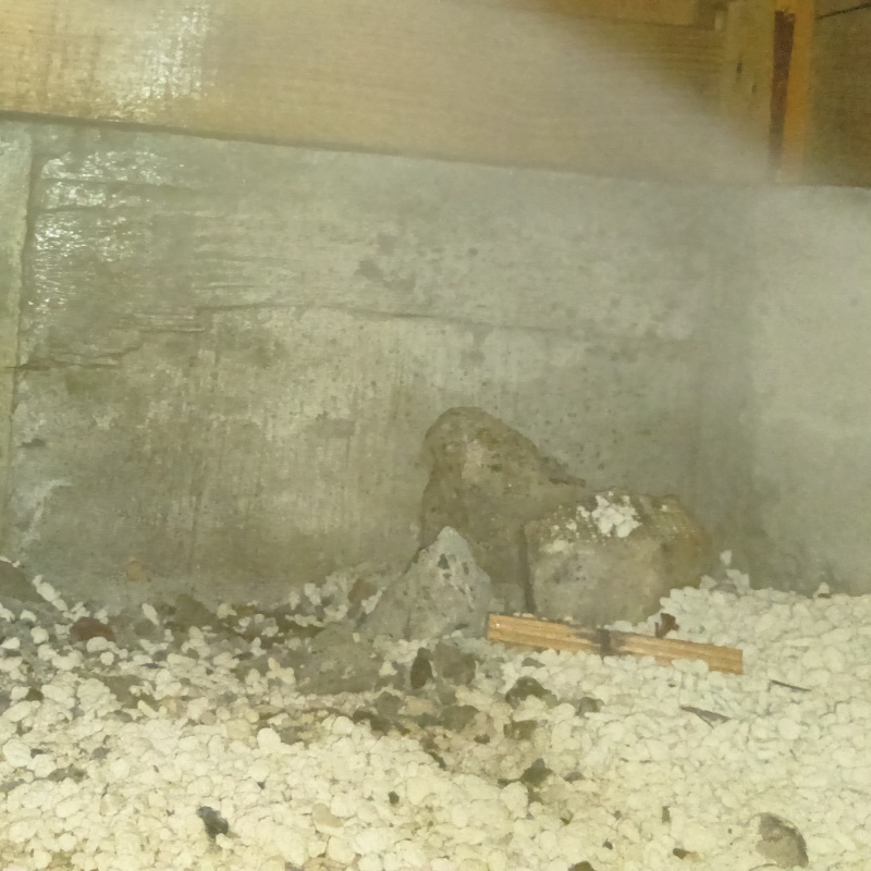 床下の基礎部分に防蟻剤を散布する様子