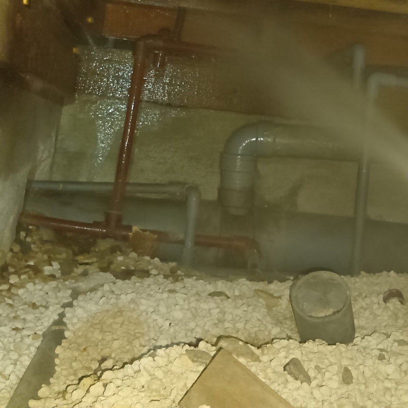 床下の基礎部分に防蟻剤を散布する様子