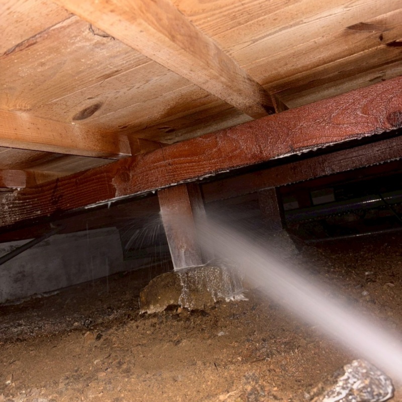 床下の木材に防蟻剤を散布する様子