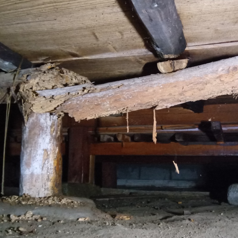築年数200年のシロアリ駆除の施工事例（愛媛県今治市朝倉上）