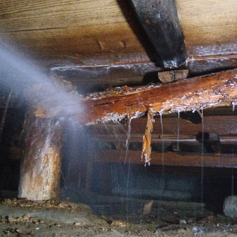 床下の木材にシロアリ駆除剤を散布する様子