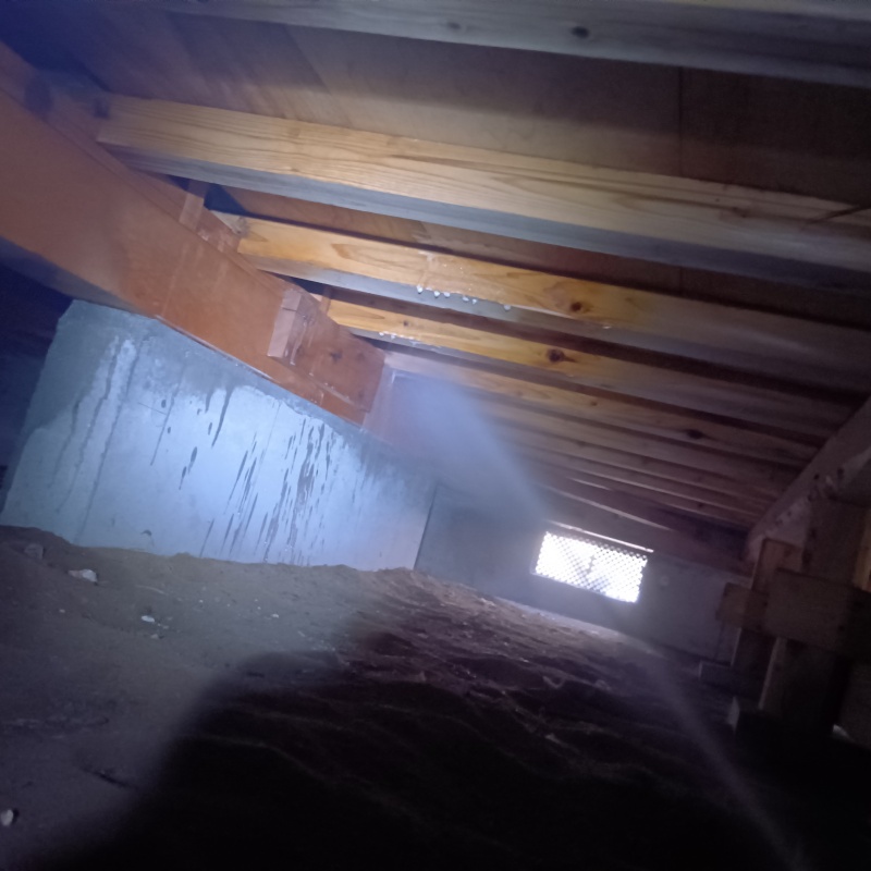 床下の木材にシロアリ駆除剤を散布する様子