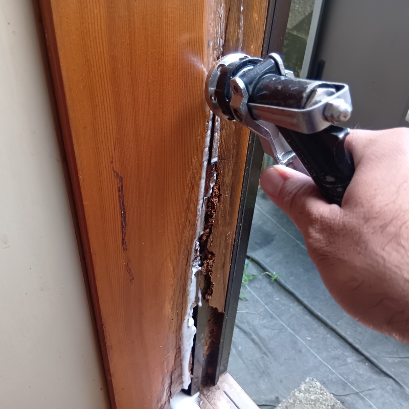 食害を受けた木材にシロアリ駆除剤を注入する様子