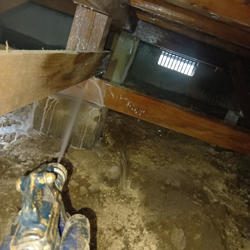 床下の木材にシロアリ駆除剤を散布する様子