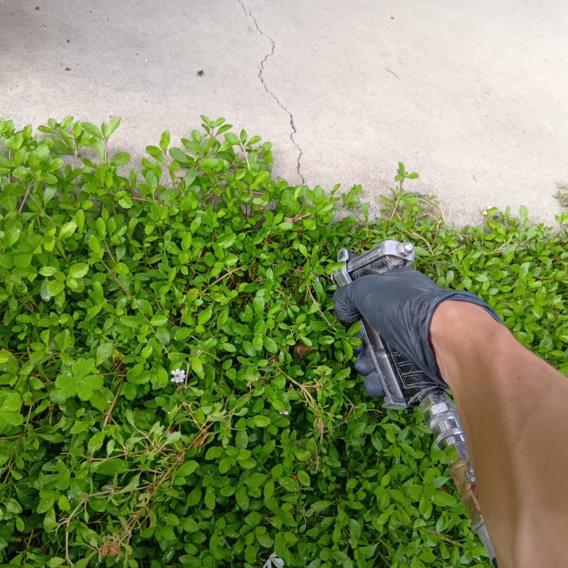 築年数27年のシロアリ駆除の施工事例（群馬県富岡市上黒岩）