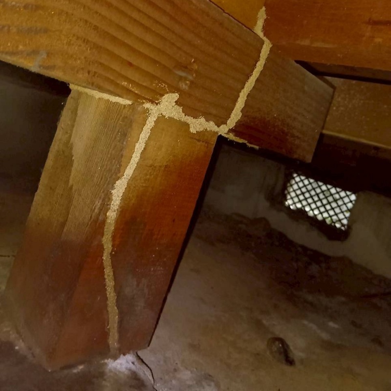 築年数45年のシロアリ駆除の施工事例（愛知県清須市西須ケ口）