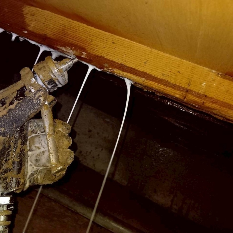 床下の木材にシロアリ駆除剤を散布する様子