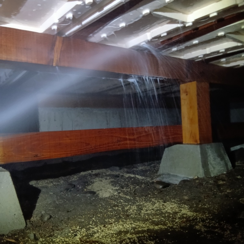床下の木材にシロアリ駆除剤を散布する様子