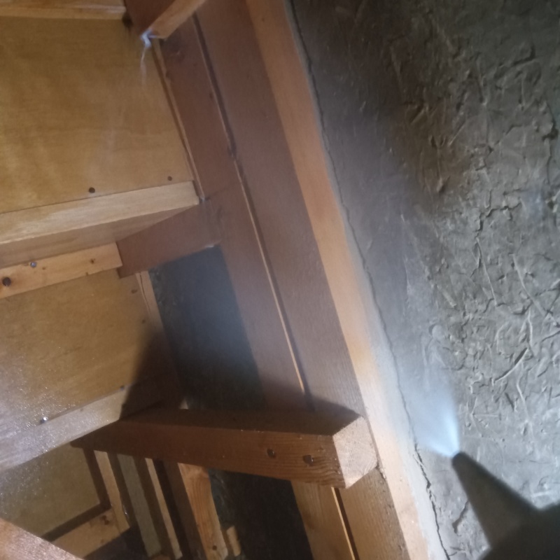 床下の木材にシロアリ駆除剤を散布する様子