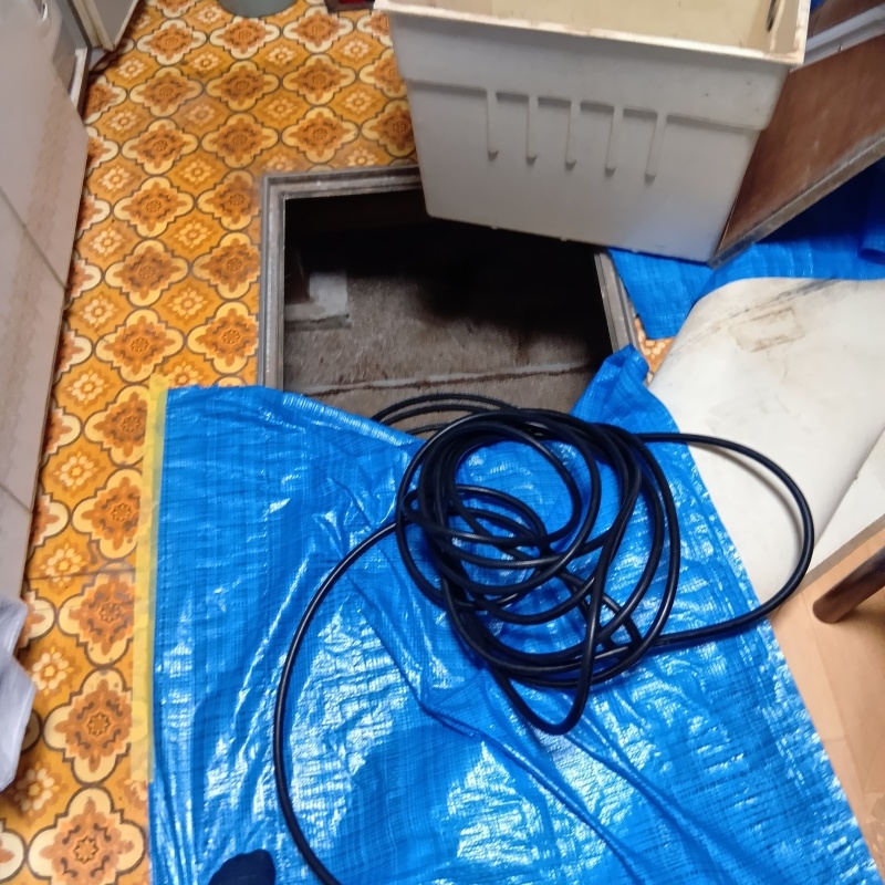 築年数50年のシロアリ駆除の施工事例（静岡県伊東市音無町）