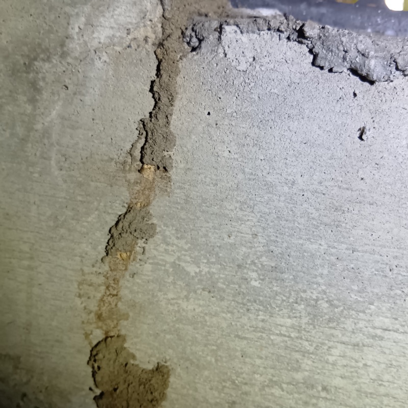 築年数40年のシロアリ駆除の施工事例（静岡県静岡市駿河区池田）