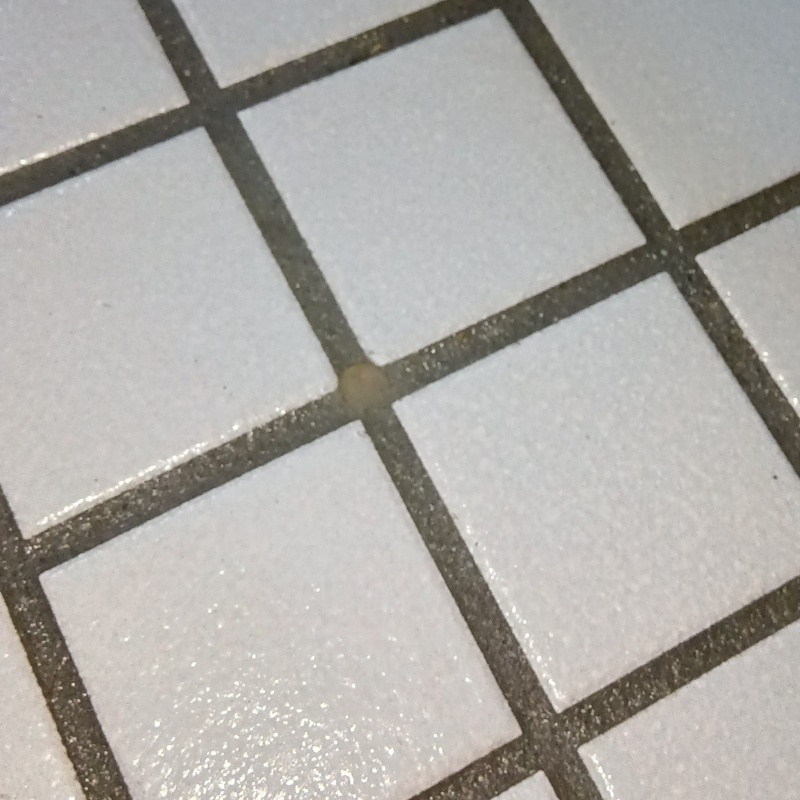 穿孔処理の穴をふさいだ様子