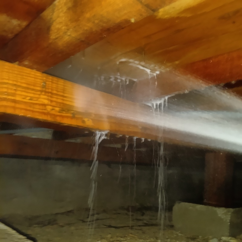 床下の木材にシロアリ駆除剤を散布する様子