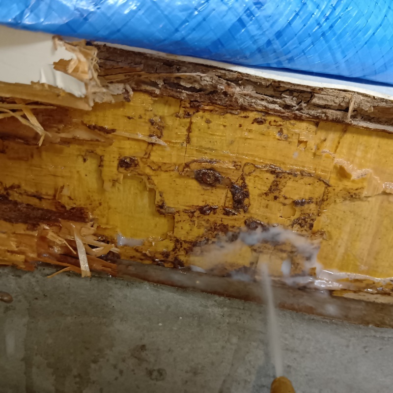 築年数40年のシロアリ駆除の施工事例（埼玉県日高市武蔵台）