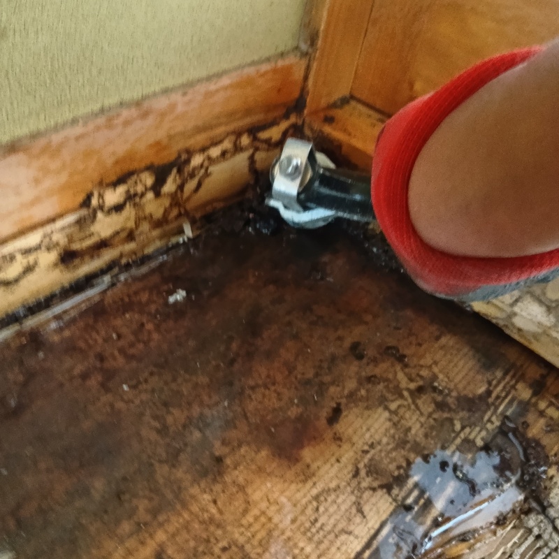 築年数30年のシロアリ駆除の施工事例（徳島県吉野川市鴨島町喜来）