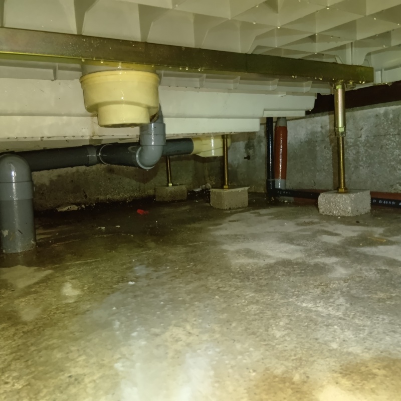 築年数20年のシロアリ駆除の施工事例（富山県下新川郡入善町新屋）