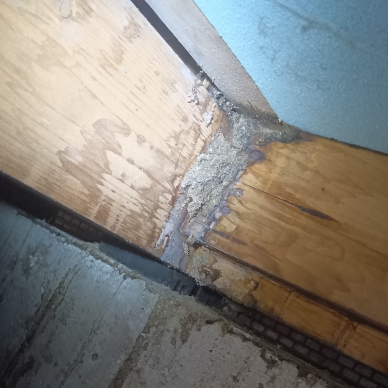 築年数15年のシロアリ駆除の施工事例（神奈川県川崎市幸区小向仲野町）