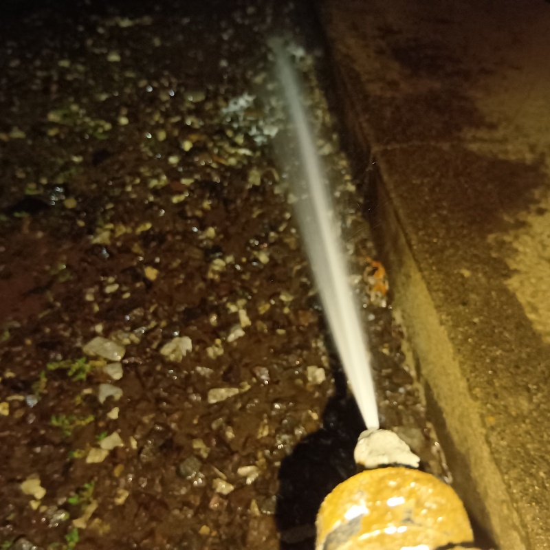 シロアリ駆除の施工事例（埼玉県日高市中沢）