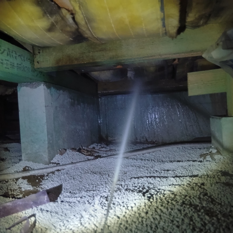 築年数36年のシロアリ駆除の施工事例（千葉県船橋市松が丘）