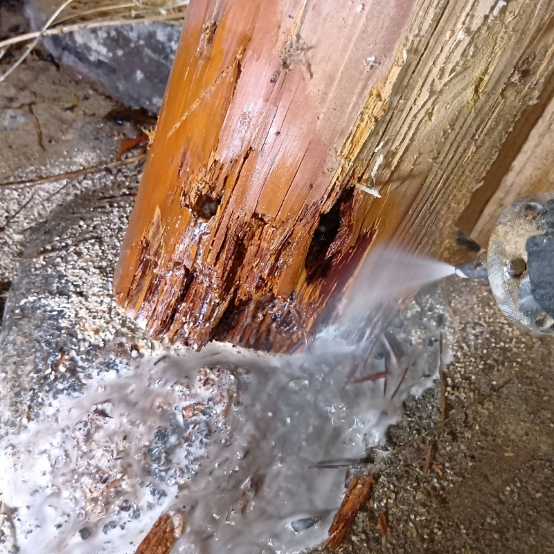 シロアリ駆除の施工事例（福岡県田川郡添田町添田）