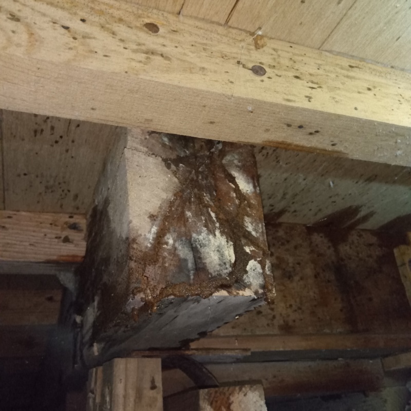 築年数47年のシロアリ駆除の施工事例（福島県須賀川市柱田夕界 ）