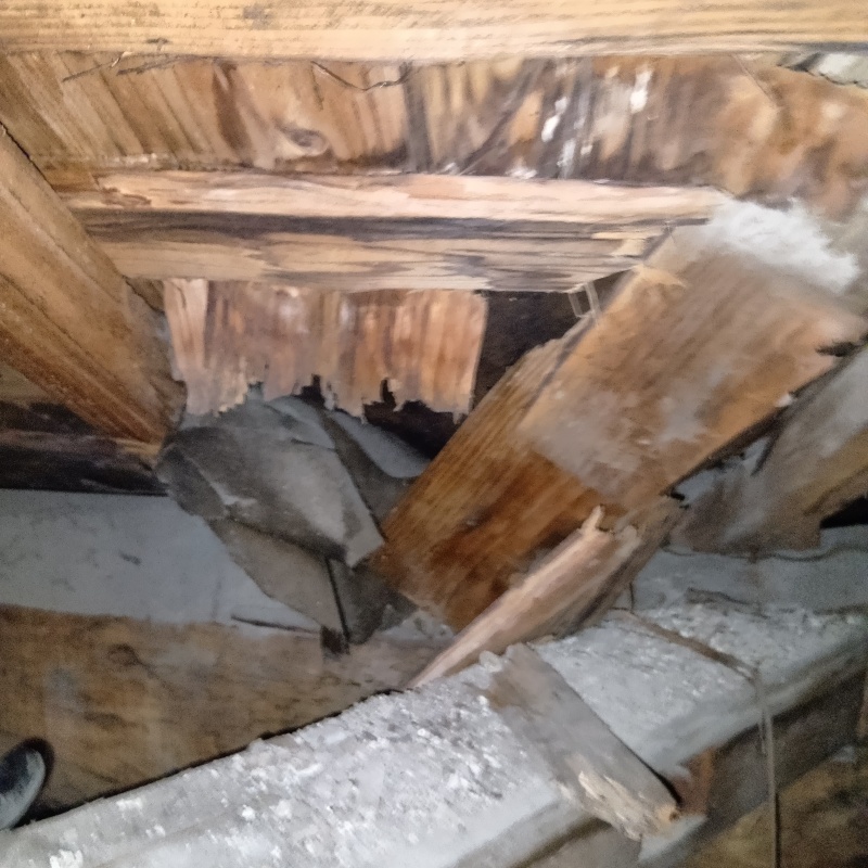 築年数65年のシロアリ駆除の施工事例（宮崎県都城市蔵原町）