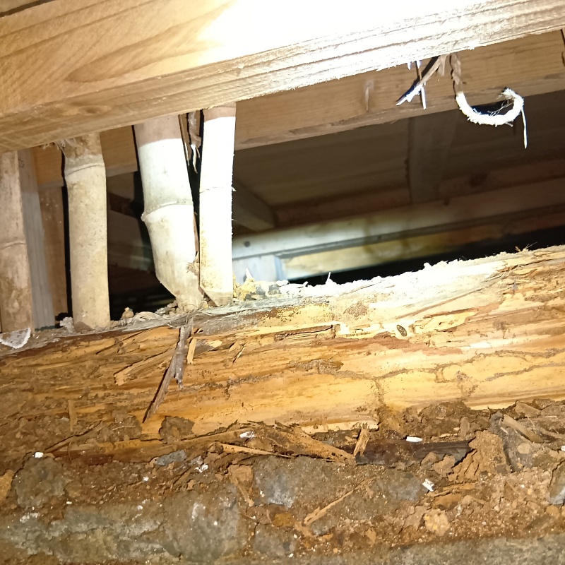 シロアリ駆除の施工事例（長崎県佐世保市日野町）