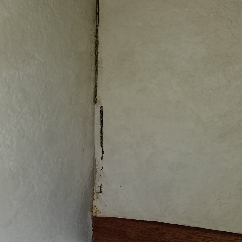 築年数30年のシロアリ駆除の施工事例（大阪府吹田市）