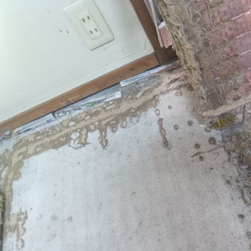 シロアリ駆除の施工事例（大阪府堺市堺区）