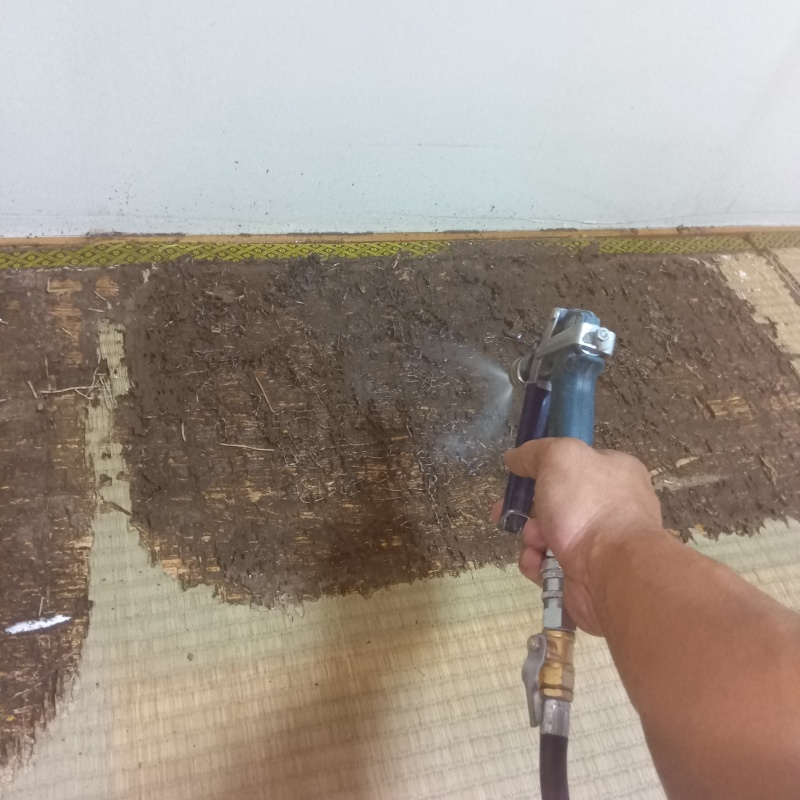 腐食した畳にシロアリ駆除剤を散布