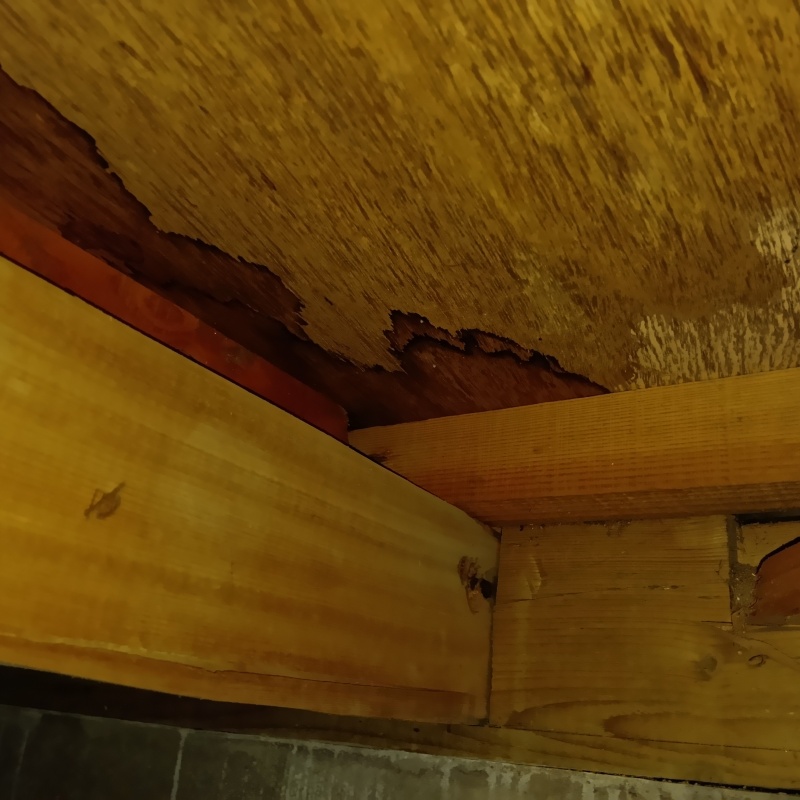 築年数30年のシロアリ駆除の施工事例（千葉県長生郡白子町中里）