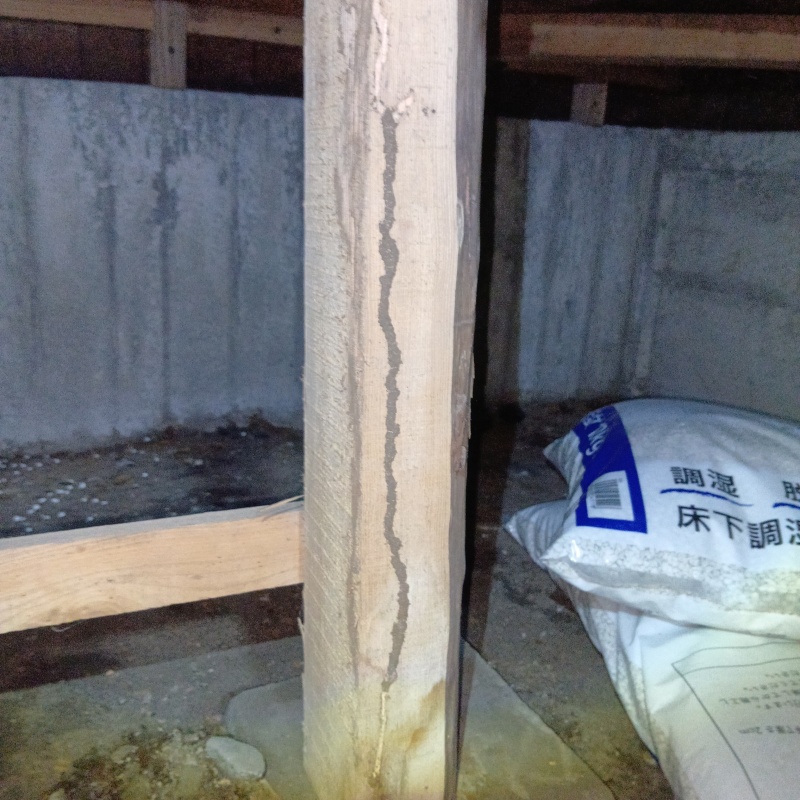 築年数50年のシロアリ駆除の施工事例（東京都あきる野市油平）