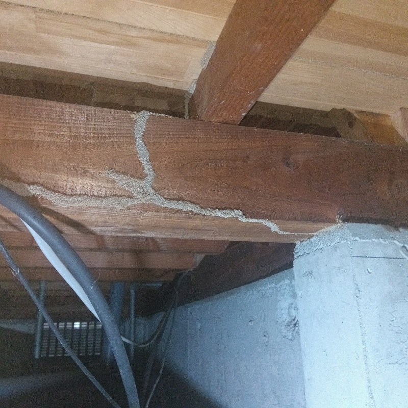 築年数29年のシロアリ駆除の施工事例（大分県速見郡日出町豊岡）