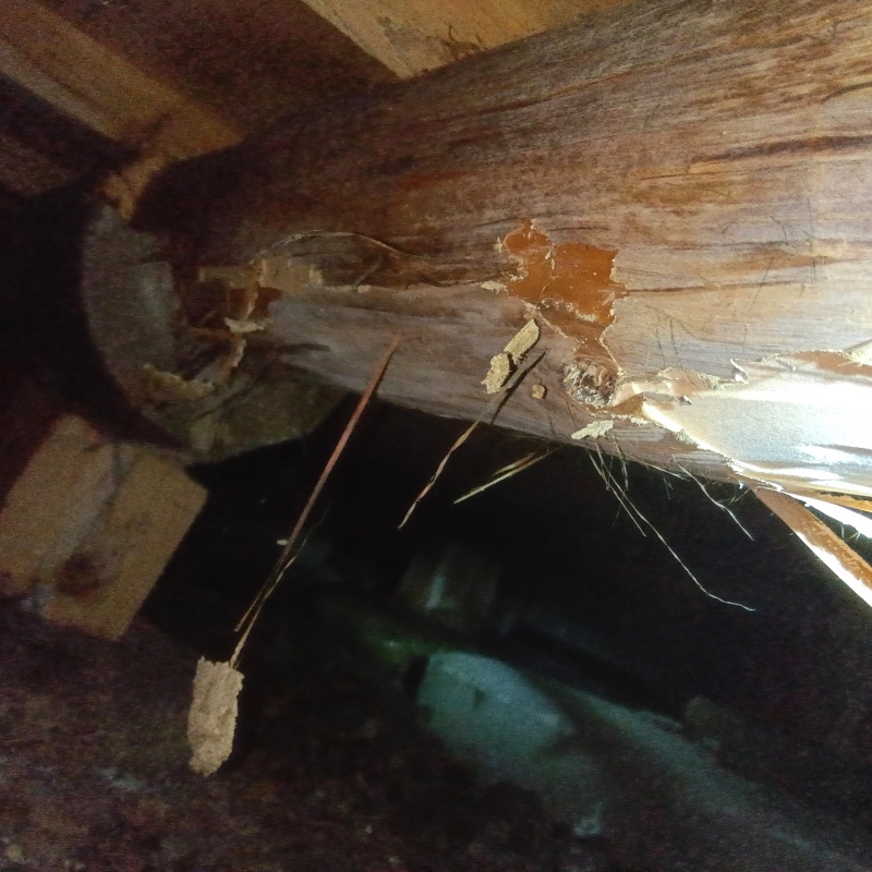 築年数50年のシロアリ駆除の施工事例（滋賀県長浜市野村町）