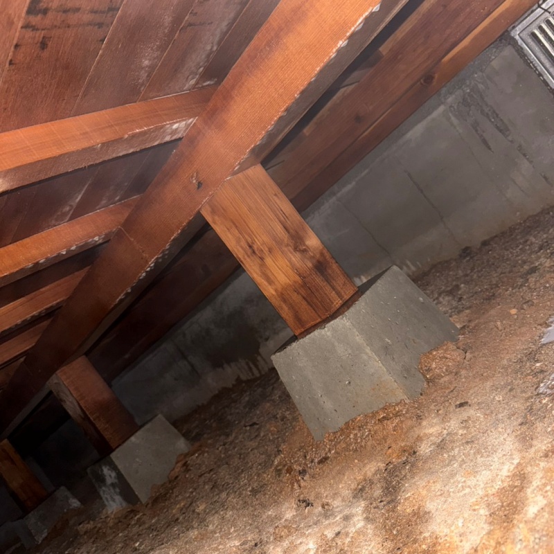 シロアリ駆除の施工事例（三重県伊勢市桜木町）