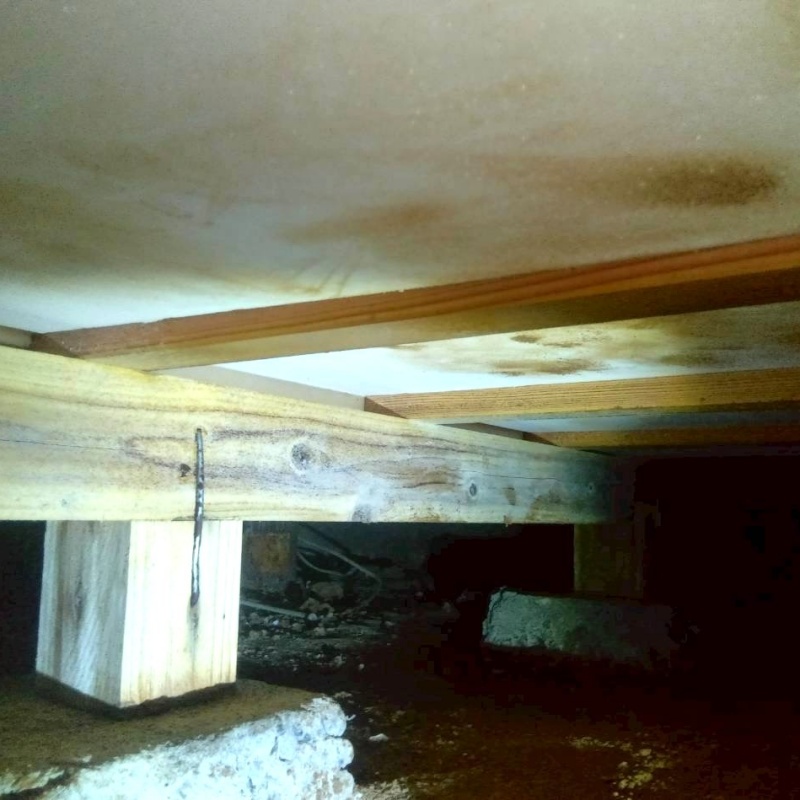 シロアリ予防の施工事例（三重県伊勢市桜木町）