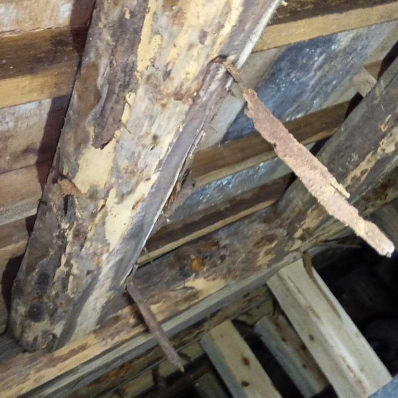築年数100年のシロアリ駆除の施工事例（大分県国東市国東町小原）